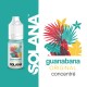 Concentré Guanabana 10ml Solana (10 pièces)