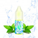 Concentré Icee Mint 10ml Fruizee (10 pièces)