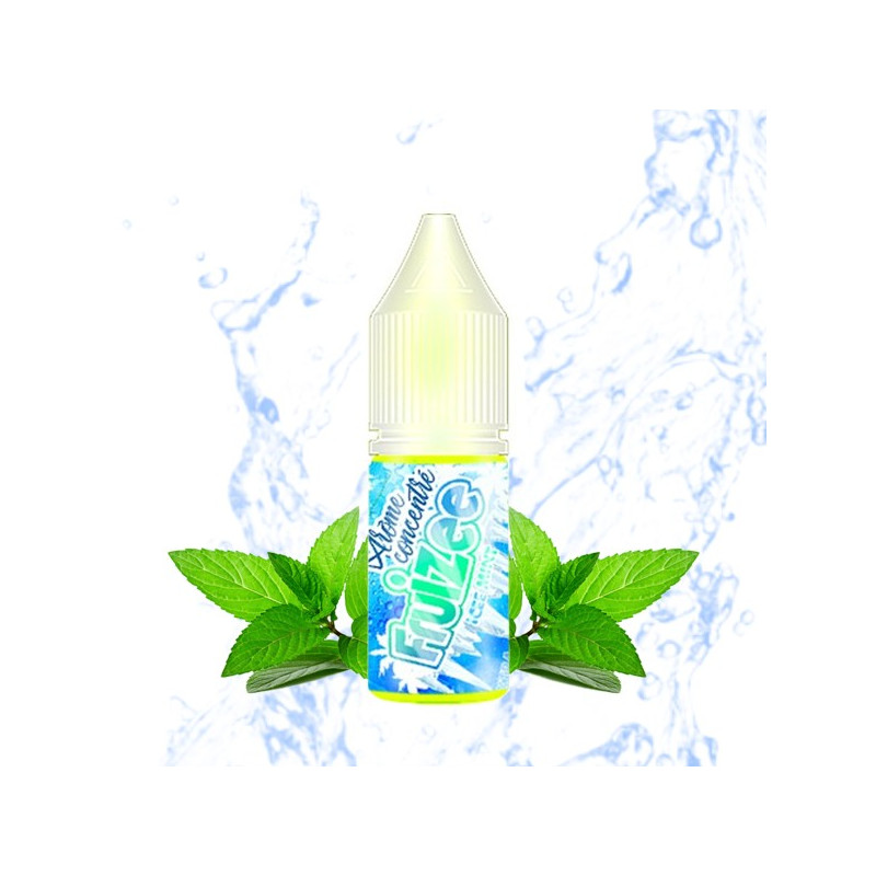 Concentré Icee Mint 10ml Fruizee (10 pièces)