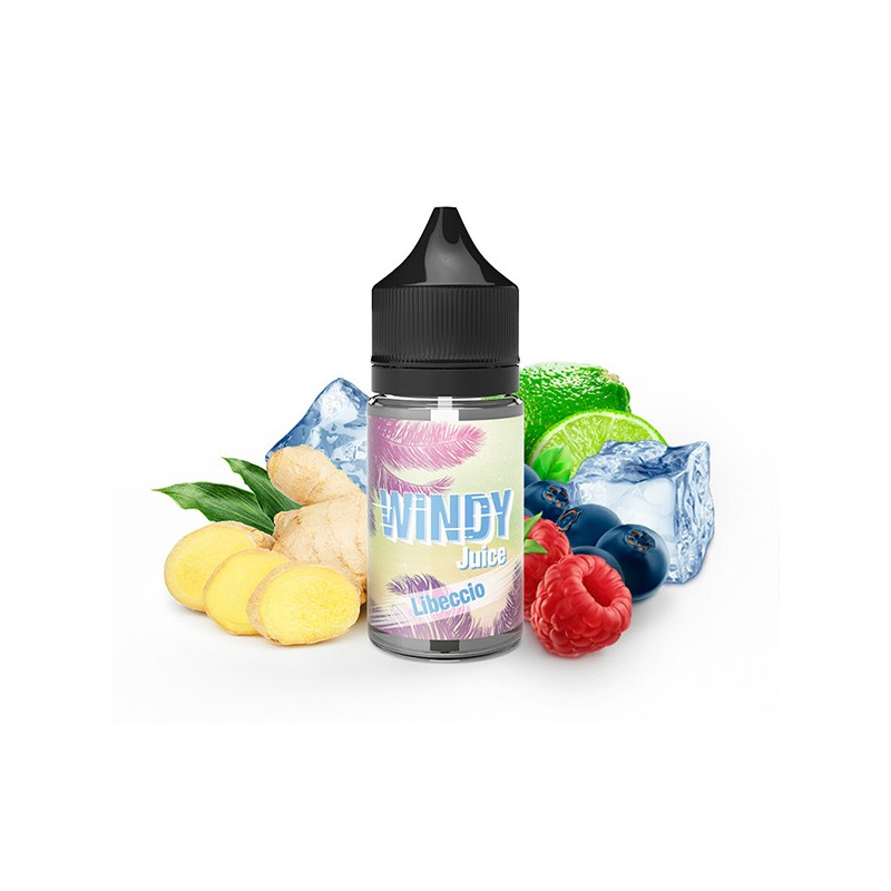 Concentré Libeccio 30ml Windy Juice by e.Tasty (5 pièces)