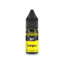 Concentré Mangue 10ml eLiquid France (10 pièces)