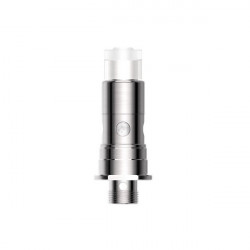 Résistances T22E Pro (1.7ohm) Innokin (pack de 5)