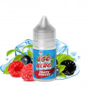 Concentré Fruits Rouges 30ml O'Juicy (5 pièces)