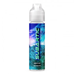 Subartic 50ml Cyber Steam by The Fuu