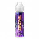 Sentinel 50ml Cyber Steam by The Fuu Sentinel 50ml Cyber Steam by The Fuu