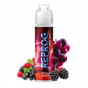 Reprog 50ml Cyber Steam by The Fuu