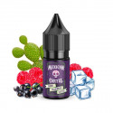 Concentré Cassis Framboise Cactus 10ml Mexican Cartel (10 pièces)