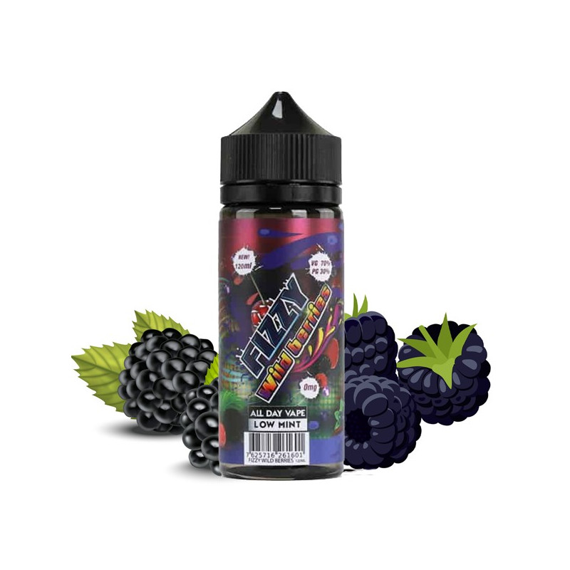 Wildberries 100ml Fizzy Juice