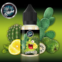 Concentré Greenus 30ml Belgi'Ohm (6 pièces)