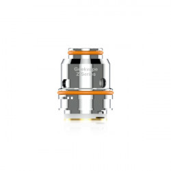 Résistances Z Dual Coil (0.25ohm) Geekvape (pack de 5) Résistances Z Dual Coil (0.25ohm) Geekvape (pack de 5)