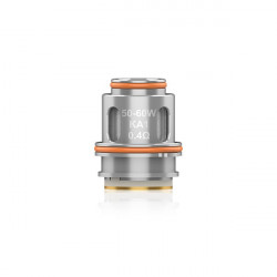 Résistances Mesh Z1 (0.4ohm) Geekvape (pack de 5) Résistances Mesh Z1 (0.4ohm) Geekvape (pack de 5)