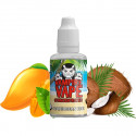 Concentré Caribbean Ice 30ml Vampire Vape (5 pièces)