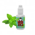 Concentré Spearmint 30 ml Vampire Vape (5 pièces)