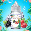 Concentré Fraise Mûre 30ml Prestige Fruits (5 pièces)