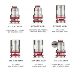 Résistances GTX (0.2/0.3) pour Target PM80 Vaporesso (pack de 5) Résistances GTX (0.2/0.3) pour Target PM80 Vaporesso (pack de 5)