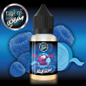 Concentré Blue Gum 30ml Belgi'Ohm (6 pièces)