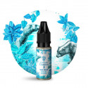 The Bear 10ml Secret Garden by Secret's LAb (10 pièces)