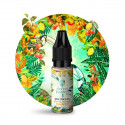 The Toucan 10ml Secret Garden by Secret's LAb (10 pièces)