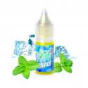 Icee Mint 10ml Esalts by Eliquid France