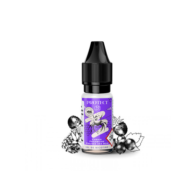 Cassis Framboise Fraises des Bois Salt 10ml Protect (10 pièces)