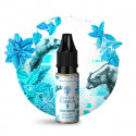 Concentré The Bear 10ml Secret Garden by Secret's LAb (10 pièces)