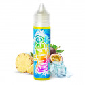 Wind Star 50ml Fruizee - Eliquid France