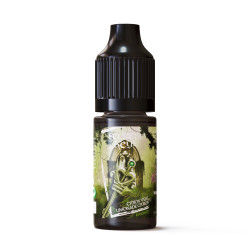 Green Key 10ml Secret's Keys by Secret's LAb (10 pièces)