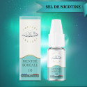 Menthe Boréale - Salt 10ml - Petit Nuage (5 pièces)