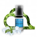 Menthe Fraîche 10ml - AVAP (10 pièces)