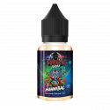 Concentré Hannibal 30ml - Versus Juice (5 pièces) Concentré Hannibal 30ml - Versus Juice (5 pièces)