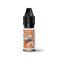 Mangue Pêche Abricot Salt 10ml Protect (10 pièces)