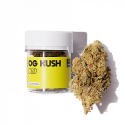Fleur de CBD OG Kush - Marie Jeanne Fleur de CBD OG Kush - Marie Jeanne