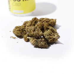 Fleur de CBD OG Kush - Marie Jeanne Fleur de CBD OG Kush - Marie Jeanne