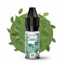 Menthe Chlorophylle 10ml - Protect (10 pièces)