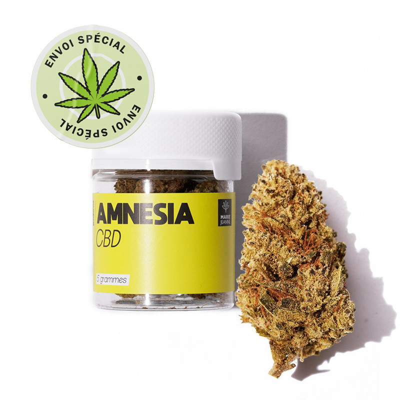 Fleur de CBD Amnesia - Marie Jeanne