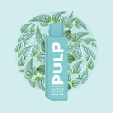 Pod Flip Menthe Polaire 2ml - Pulp