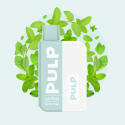 Kit Pod Flip Menthe Verte 2ml - Pulp