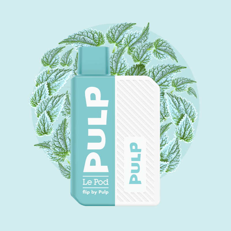 Kit Pod Flip Menthe Polaire 2ml - Pulp