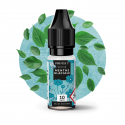 Menthe Glaciale Salt 10ml Protect (10 pièces)