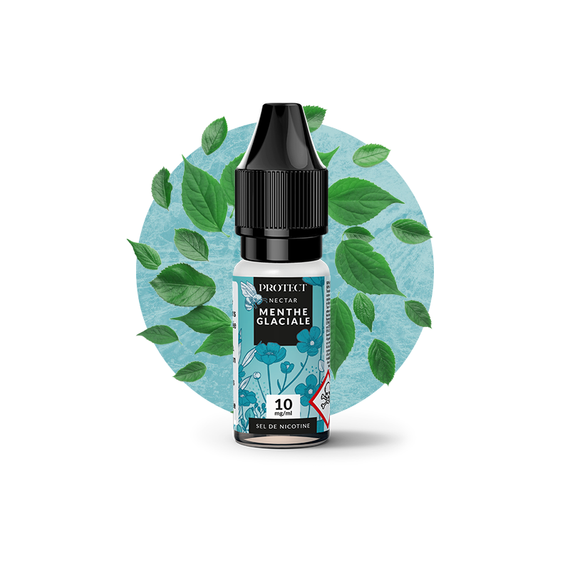 Menthe Glaciale Salt 10ml Protect (10 pièces)