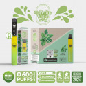 Re Puff Menthe Ma Petite Vape 600 - Ma Petite vape