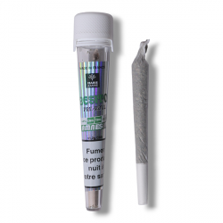 Pre Roll Amnesia - Marie Jeanne Pre Roll Amnesia - Marie Jeanne