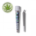 Pre Roll Amnesia - Marie Jeanne