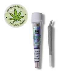 Pre Roll Amnesia - Marie Jeanne Pre Roll Amnesia - Marie Jeanne