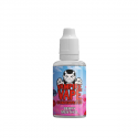 Concentré Berry Menthol 30ml Vampire Vape (5 pièces)