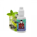 Concentré Blueberry 30ml Vampire Vape (5 pièces)