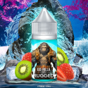 Concentré Go-rilla Temple Rugged 30ml - Go-rilla - Vape Connection (5 pièces)