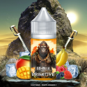 Concentré Go-rilla Temple Primitive 30ml - Go-rilla - Vape Connection (5 pièces)