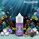 Concentré Lagoon 30ml Abyss by Full Moon (5 pièces)