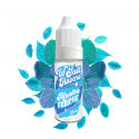 Menthe Fraîche 10ml Wsalt Flavors by Liquideo (8 pièces)